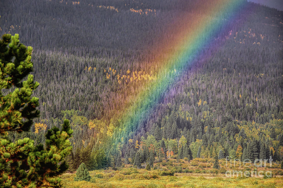 Rainbow in the Rockies Photograph by Lynn Sprowl