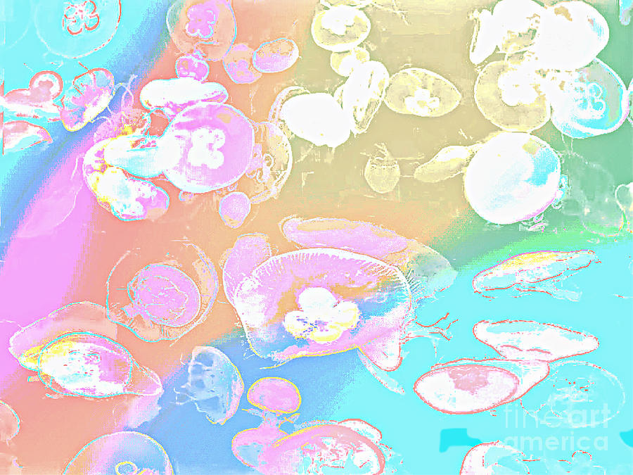 Rainbow Jellies Art Photograph
