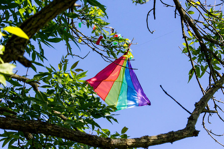 Rainbow Kite Photograph by Gaurav Singh