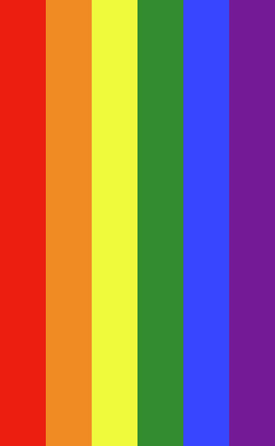 Rainbow LGBT Pride Flag, Vertical Painting by Gilbert Baker