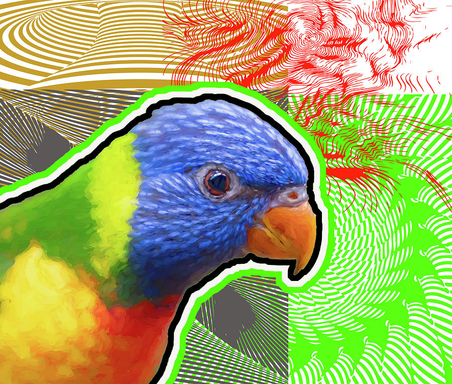 Rainbow lorikeet Digital Art by Roger Lighterness