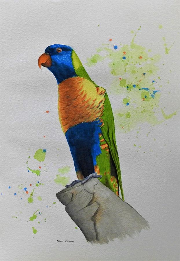 Rainbow lorikeet watercolour Painting by Athol KLIEVE - Fine Art America