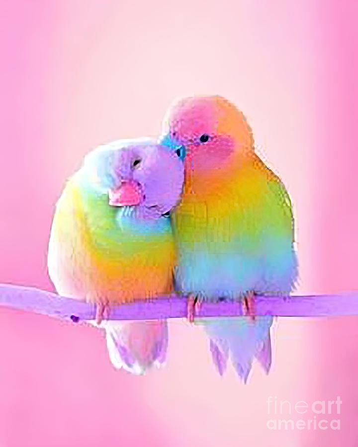 Rainbow love birds Painting by Eden Morris - Fine Art America