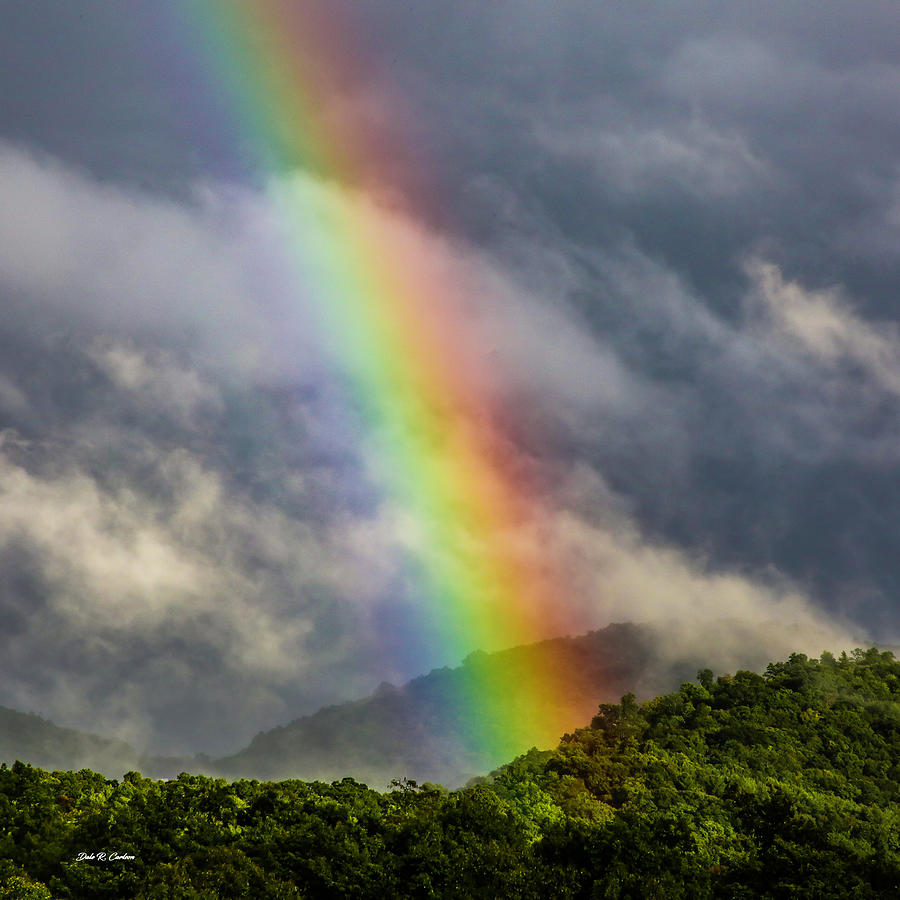 Rainbow Magic Photograph by Dale R Carlson