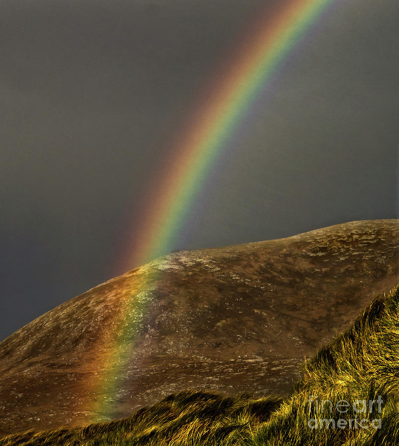 Rainbow Magical Burst Photograph by Tatiana Bogracheva