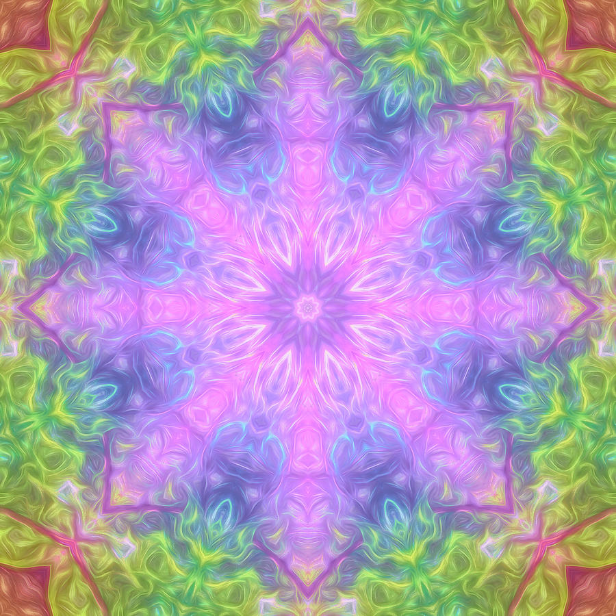 Rainbow Maple Mandala 02 Digital Art by Beth Sawickie
