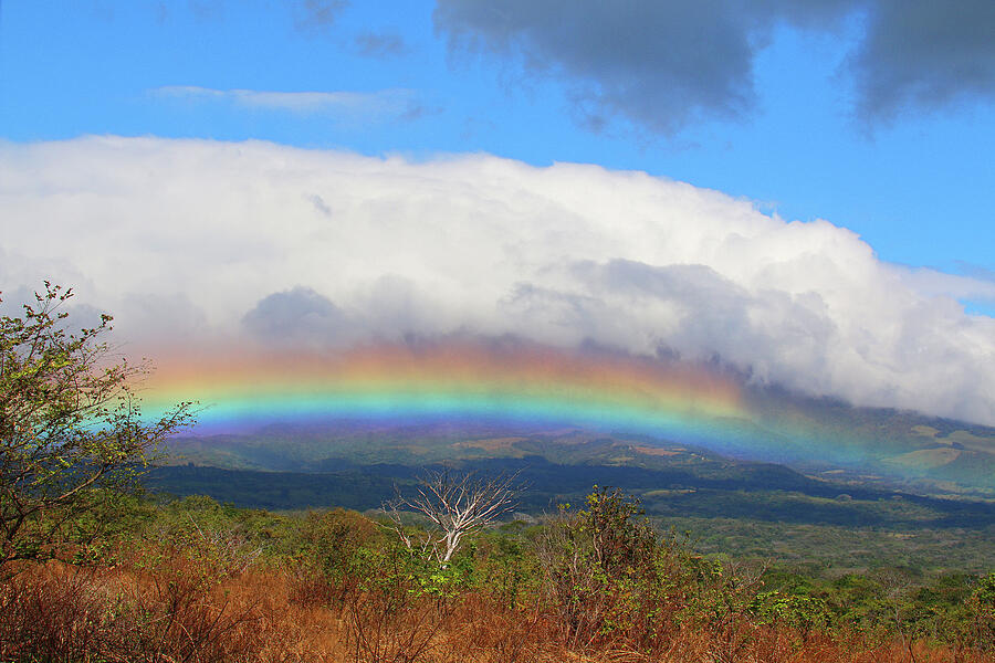 Nature Photograph - Rainbow by MaryJane Sesto Nature Photograph - Rainbow by MaryJane Sesto