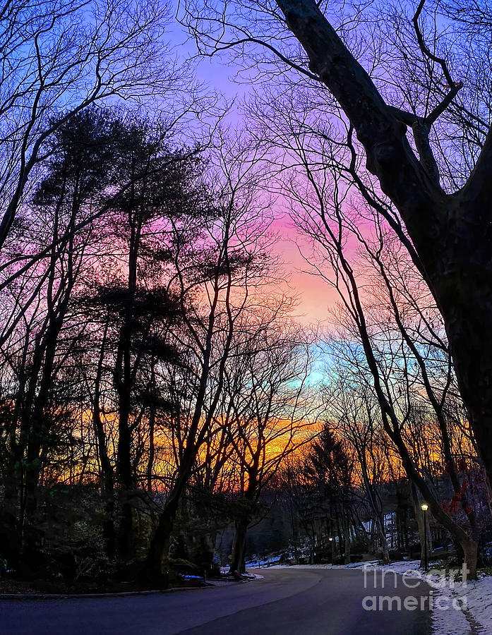 Rainbow morning Photograph by Bobbie Turner