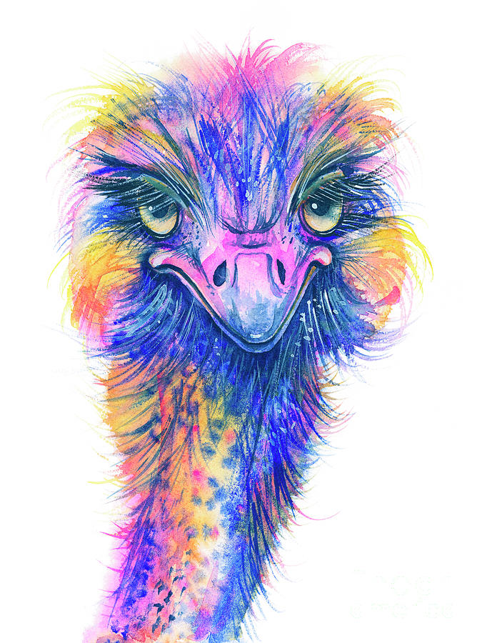  Wild Animal Bird Print, Colorful Ostrich Face