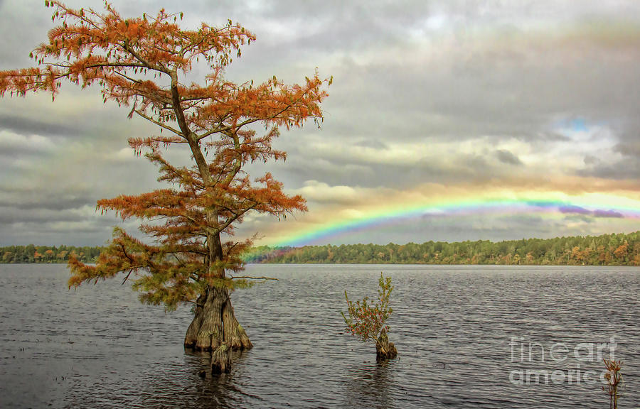 Rainbow Over Jones Lake Photograph by Michelle Tinger