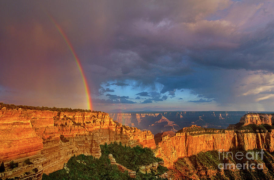 Rainbow Over Cape Royal North Rim Grand Canyon National Park Photograph by Dave Welling