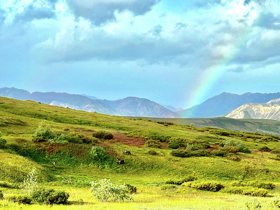 Rainbow over Caribou Photograph by Harry Banks Rainbow over Caribou Photograph by Harry Banks