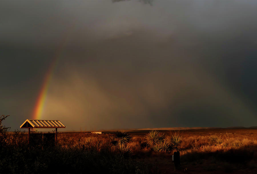 Rainbow over Desert Landscape Photograph by Sandra Js