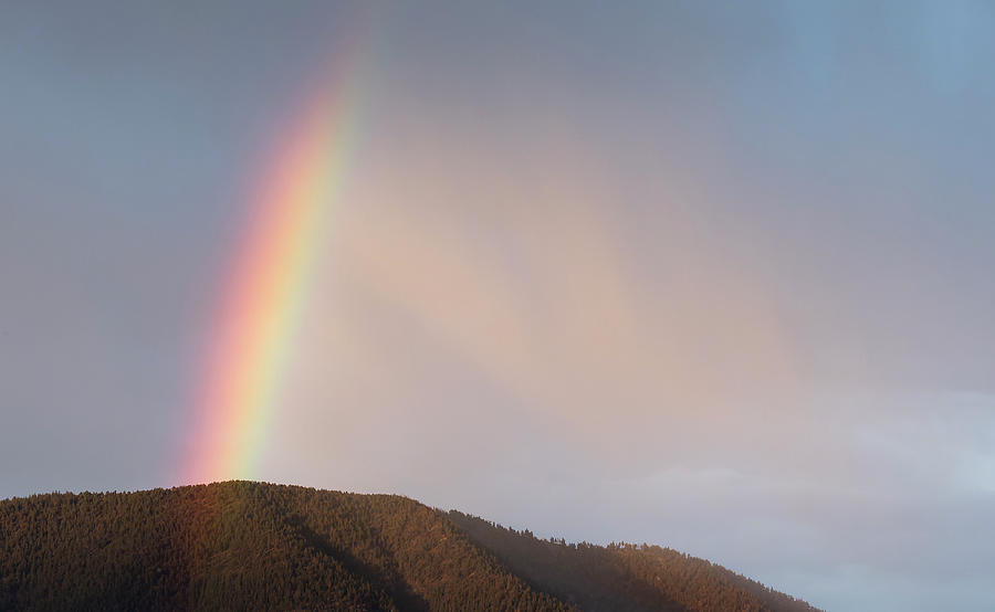 Rainbow Over Elden Photograph by Jim Wilce | Fine Art America