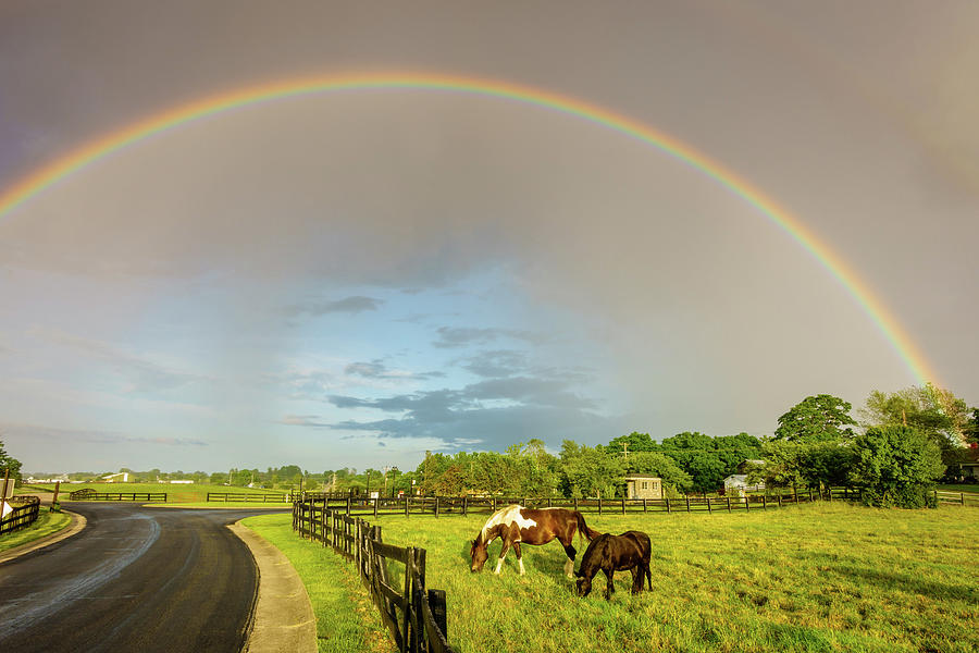 Rainbow over pasture Photograph by Alexey Stiop