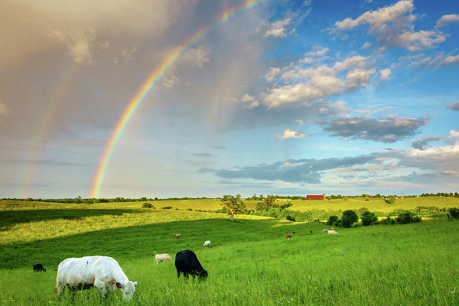 Rainbow over pasture in Central Kentucky Photograph by Alexey Stiop