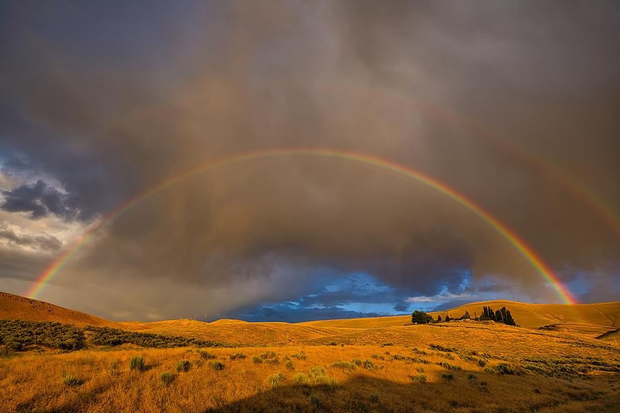 Summer Photograph - Rainbow over the Hill by Lynn Hopwood