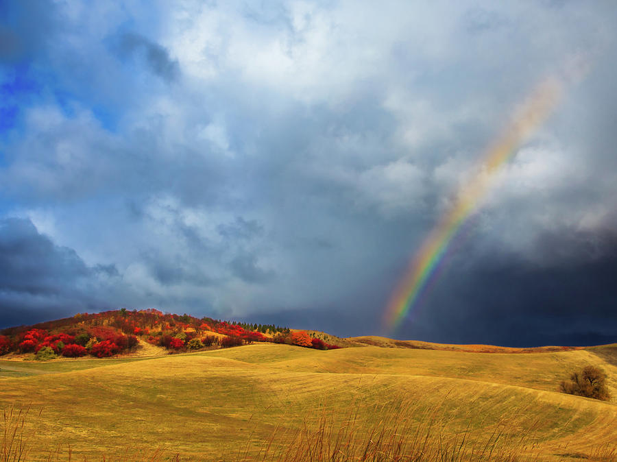 Rainbow over the Palouse Photograph by David Patterson