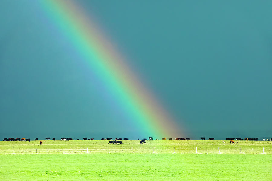 Rainbow Pasture Photograph by Todd Klassy