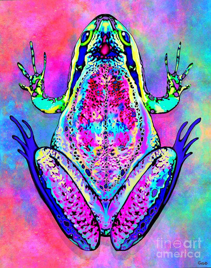 Rainbow Peace Frog Digital Art by Nick Gustafson