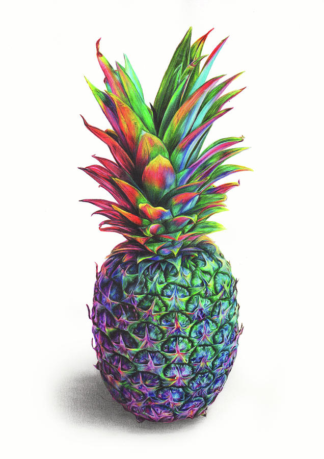 Rainbow Pineapple Drawing by Leona Chui | Pixels