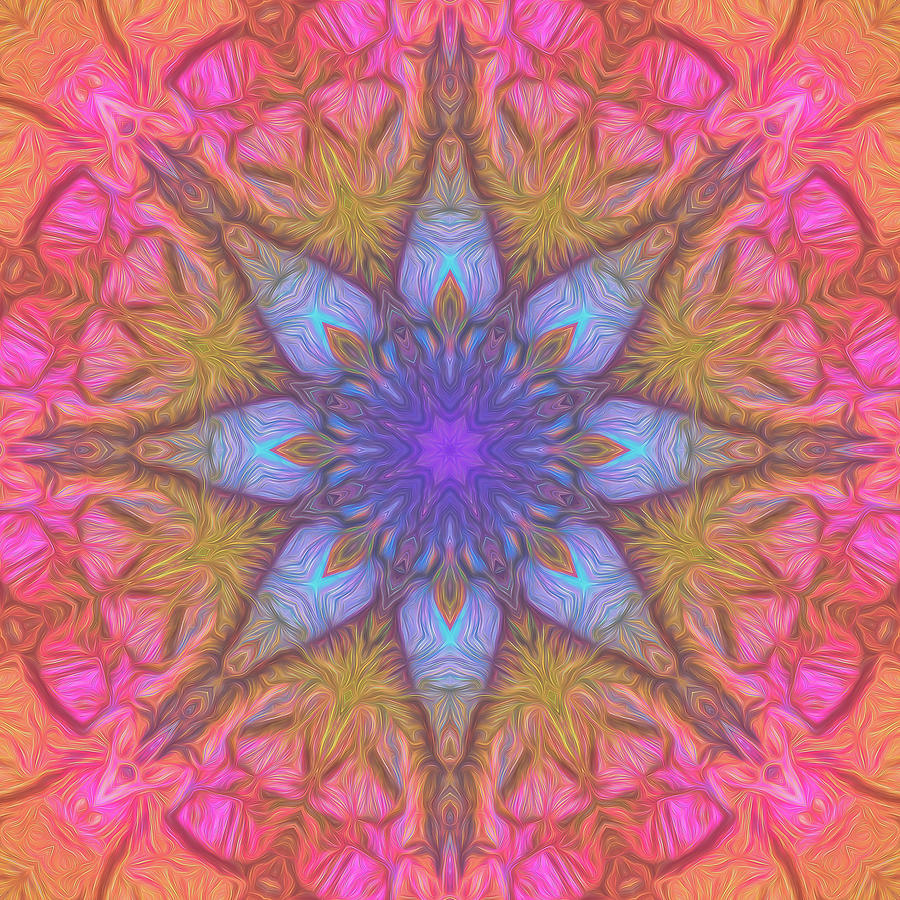 Rainbow Pitch Pine Mandala 02 Digital Art by Beth Sawickie