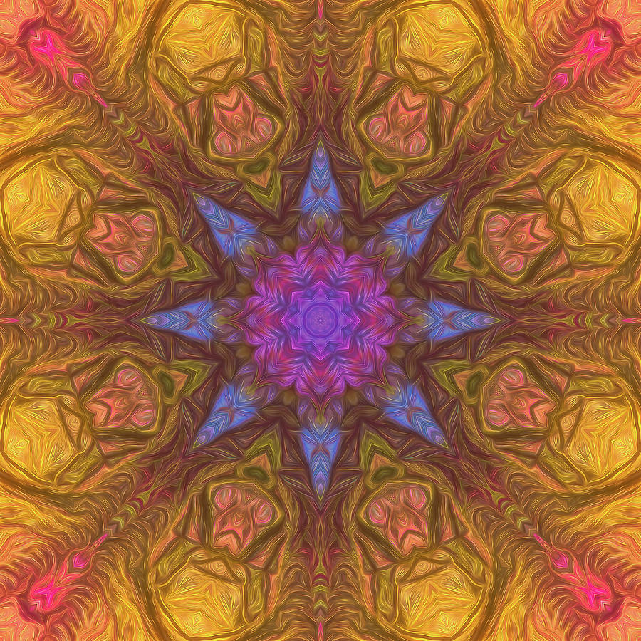 Rainbow Pitch Pine Mandala 03 Digital Art by Beth Sawickie