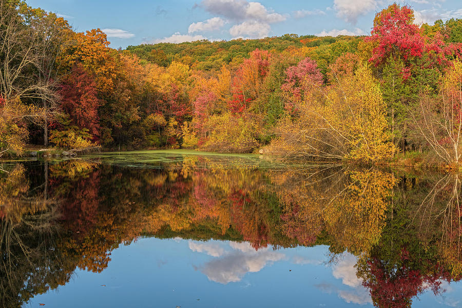 Rainbow Pond Refelections Photograph by Angelo Marcialis - Fine Art America