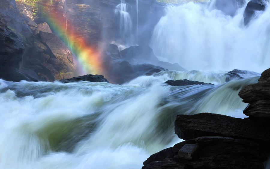 Rainbow River Photograph by Dreamland Media