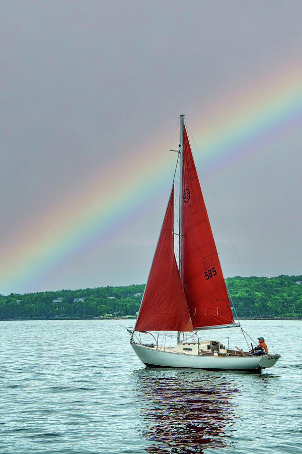 Rainbow Sail in Rockland, Maine Photograph by Marcy Wielfaert