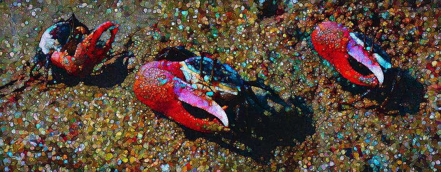 Rainbow Sand And Fiddler Crabs Mixed Media by Joan Stratton