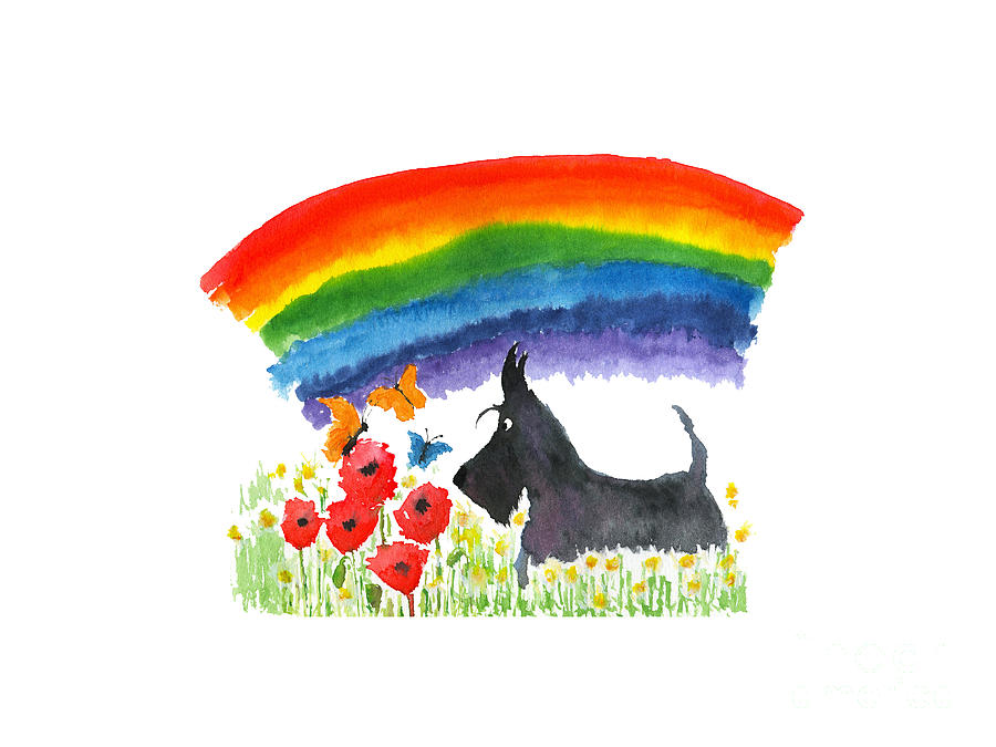 Scottie Dog Painting - Rainbow Scottie by Patch Wheatley