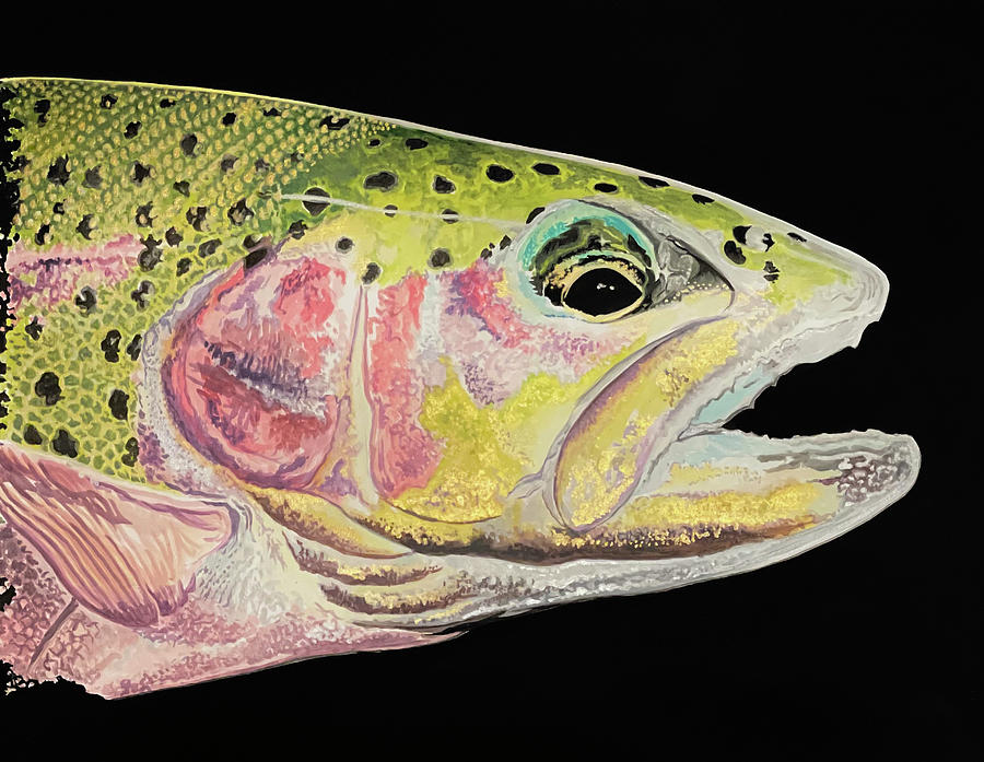 Trout head Painting by Shane Cox - Fine Art America