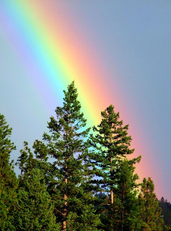 Rainbow Splendor Photograph by Will Borden