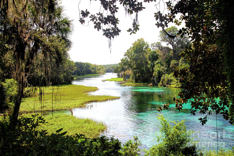 Rainbow Springs State Park, Florida Photograph by Felix Lai