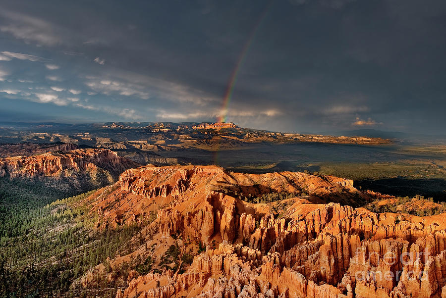 Rainbow Storm Bryce Canyon National Park Utah Photograph by Dave Welling