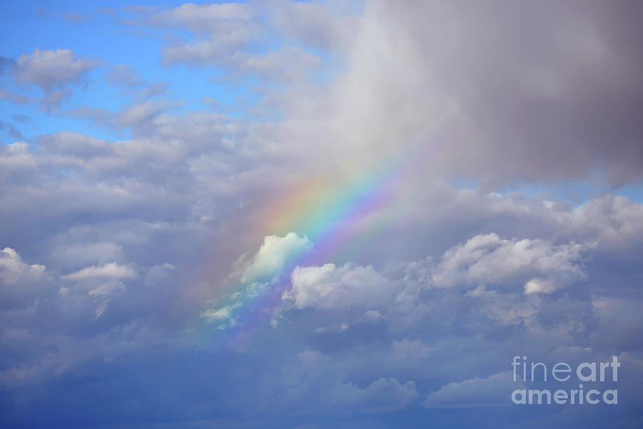Rainbow Storm Photograph by Denise Bruchman