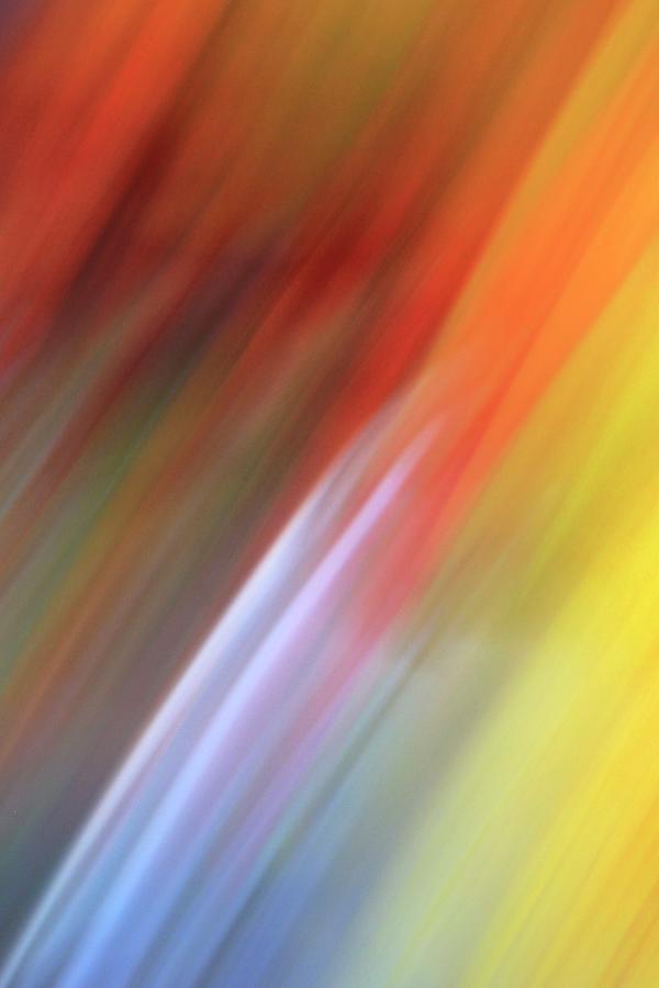 Rainbow Stream 1 Photograph by Vicki Hone Smith