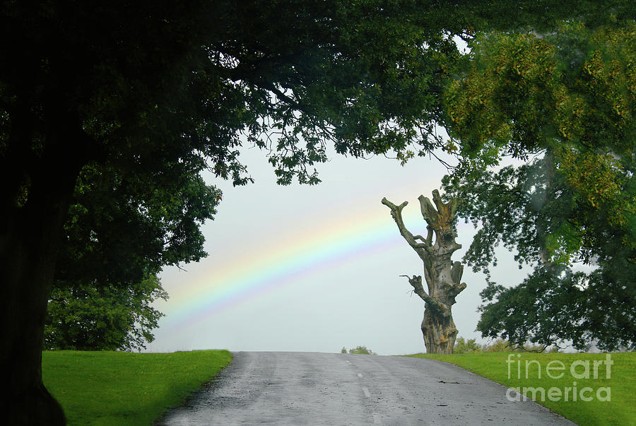 Rainbow - Study I  Photograph by Doc Braham
