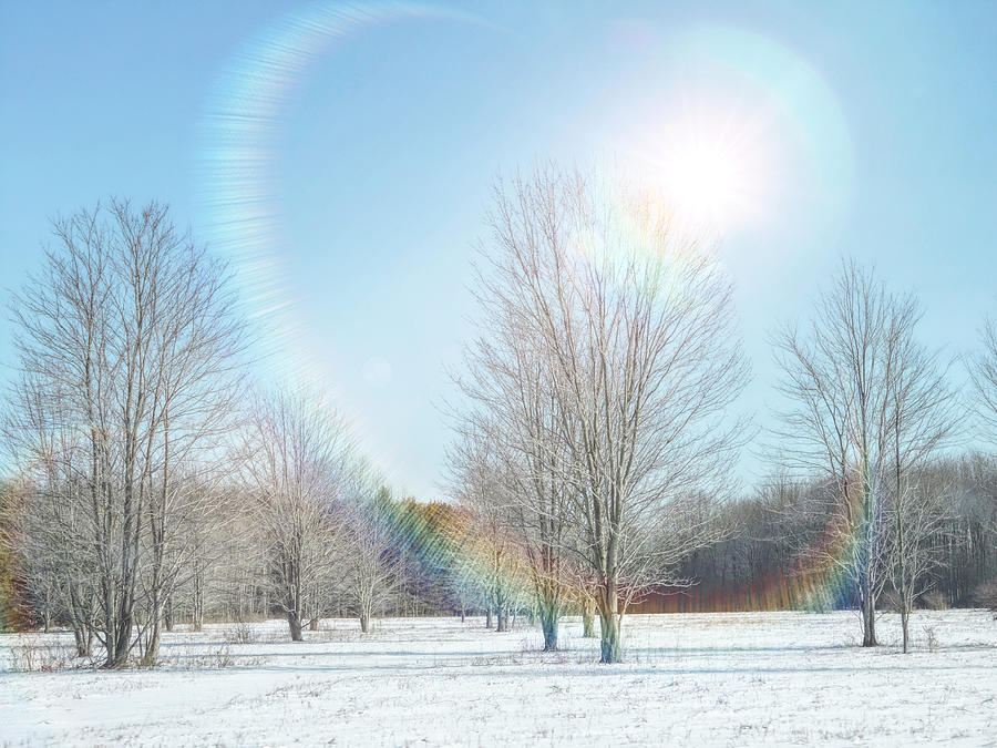 Rainbow Sun Halo  Photograph by Susan Hope Finley