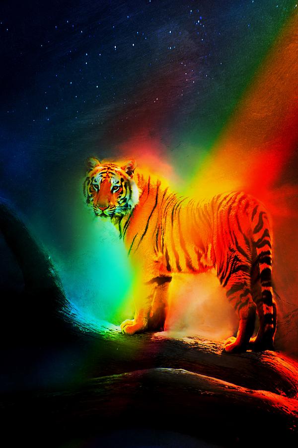 Rainbow Tiger Digital Art by Raymond Allis Fine Art America