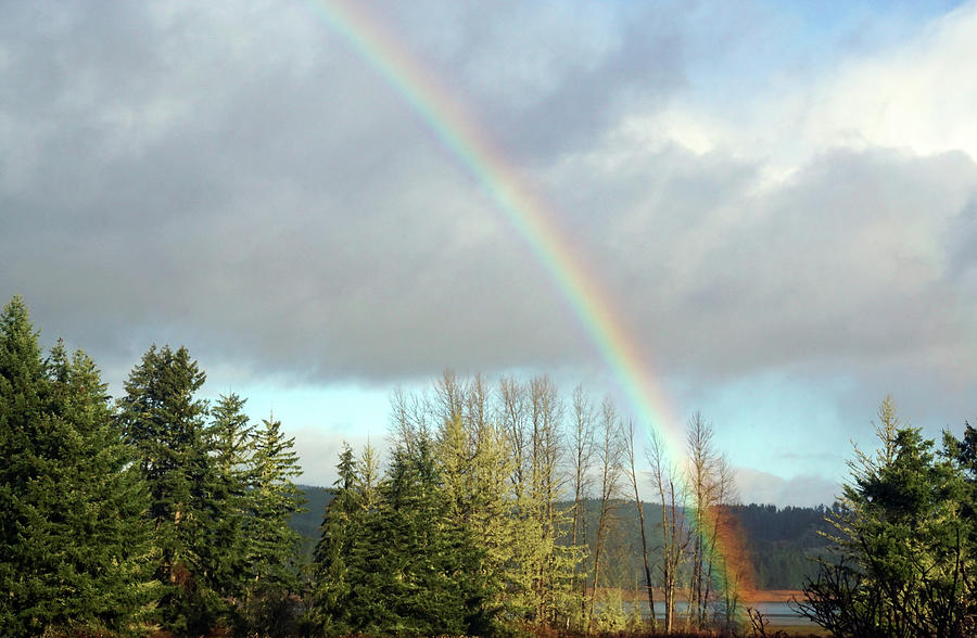 Rainbow Touching Cottage Grove Lake Photograph by Ben Upham III
