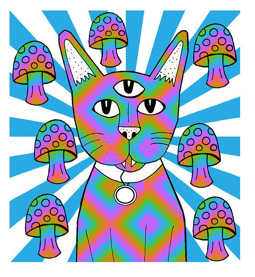 Rainbow Trippy Cat Drawing by Chelsea Geldean Fine Art America