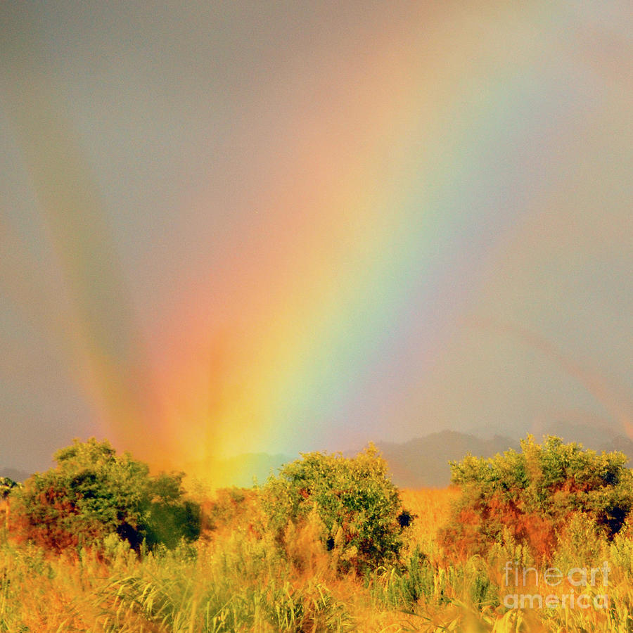 Rainbow Photograph - Rainbow - Tropic Hawaii by D Davila