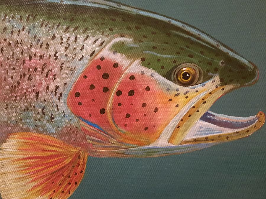 Rainbow Trout Painting by Barbara Jensen - Fine Art America