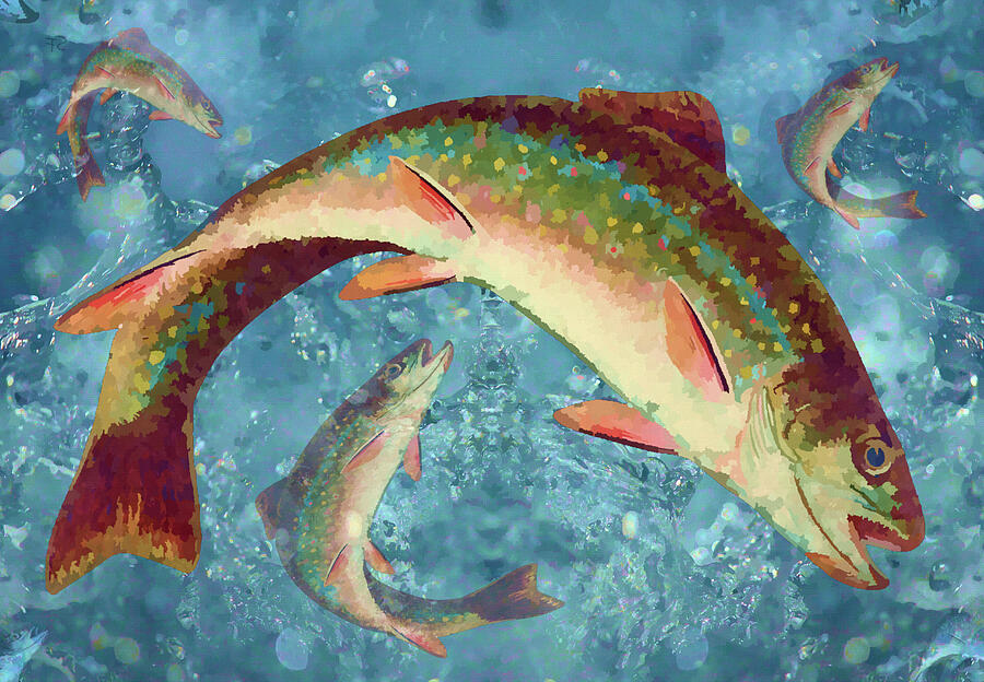 Rainbow Brook Trout Freshwater Fish Painting  Digital Art by Shelli Fitzpatrick