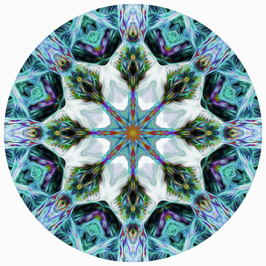Rainbow Waterfall Mandala 1 Digital Art by Beth Sawickie