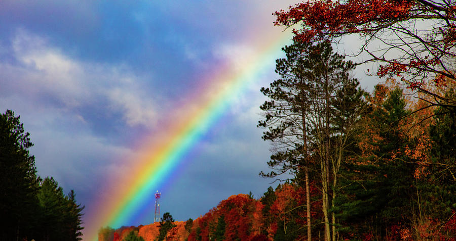 Rainbow with Michigan fall colors Photograph by Eldon McGraw