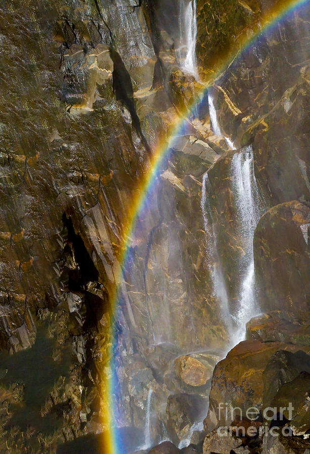 Rainbow Yosemite Photograph by Metaphor Photo