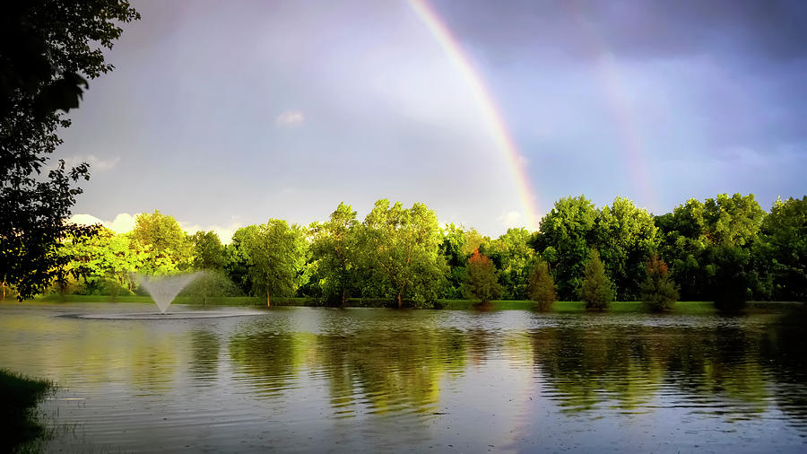Rainbows Photograph by Darlene Kwiatkowski